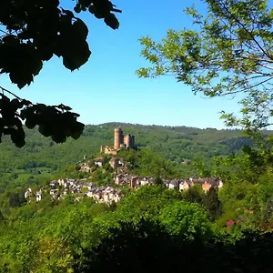 https://gite-les-vignettes.midi-pyreneeshotels.com